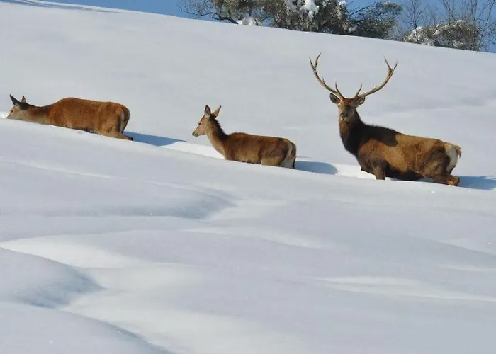 Florence Bed & Breakfast