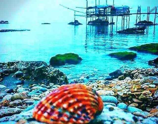 Florence Bed & Breakfast Pescara